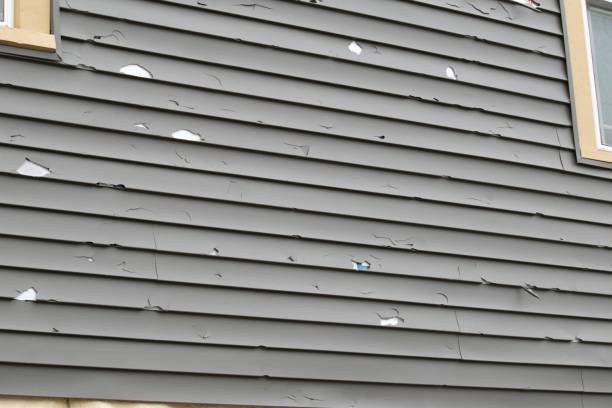 Professional Siding Services in Freeland, PA